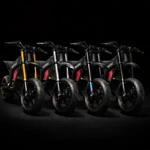 Tuttio Soleil / Pro Spec / MotoTec / Valtinsu EM-5 Electric Dirt Bike Forks | Voltron Watts