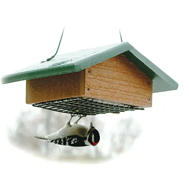 212 MAIN WoodLink GGSBF Upside Down Suet Feeder - Outdoor Wild Bird Feeder, Easy-Fill Recycled Bird Feeding Tool, Outdoor Feeder