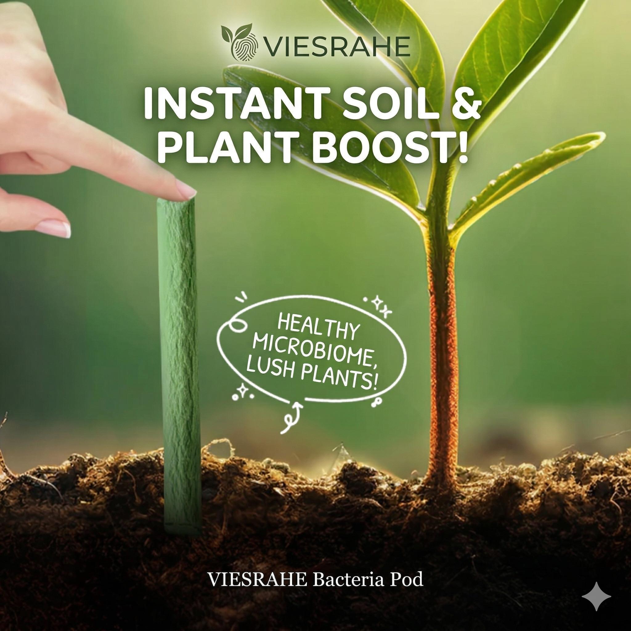 VIESRAHE 3-in-1 Plant Fertilizer Sticks Slow Release Probiotic Soil Regenerator for All Indoor Outdoor Plants Root Booster & Soil Enrichment Sticks for Flowers Succulents Houseplants