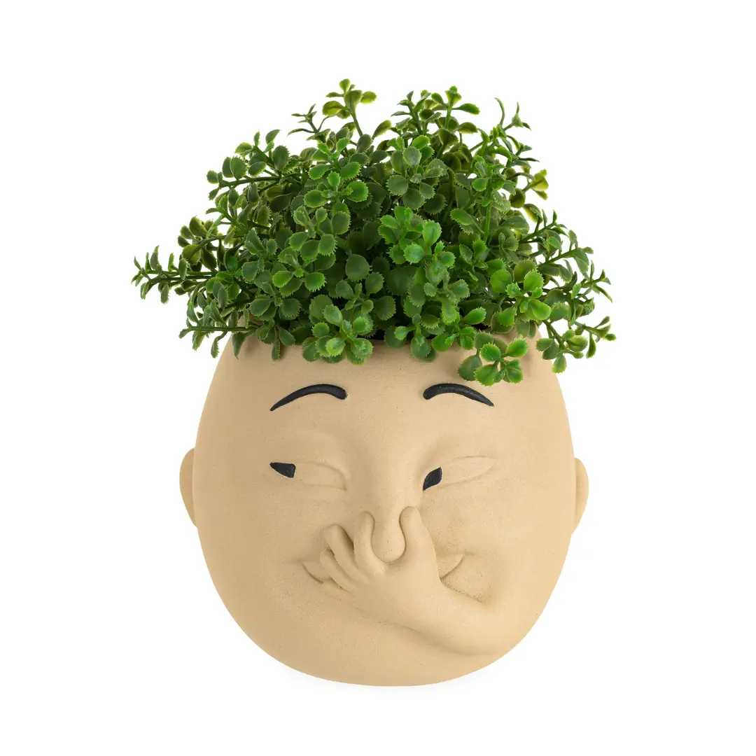Nuptio Face Shape Unique Plant Pot - Whimsical Pinching-Nose Indoor Garden Planter, Humor Decor, All Seasons Bathroom Toilet Ornament, Christmas Gag Gift, Home Improvement Unique Pots, Funny Toilet Room Decoration