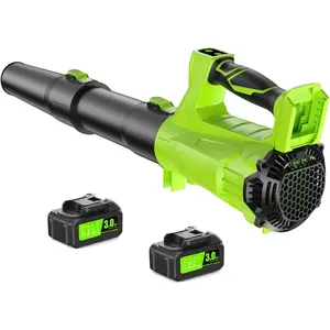 Electric Leaf Blower Cordless with 2 3.0Ah  and Charger, 2 Speed Mode 650CFM 280MPH Patio Tools with 2 Tubes, 20V   Leaf Cleaner Handheld Blowers for Lawn Care, Dust, Leaves, Yard