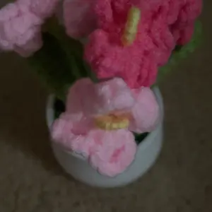review image 6