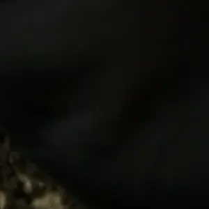 review image 4