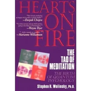 USED-Hearts on Fire: The Tao of Meditation, the Birth of Quantum Psychology by Stephen H. Wolinsky (Paperback)