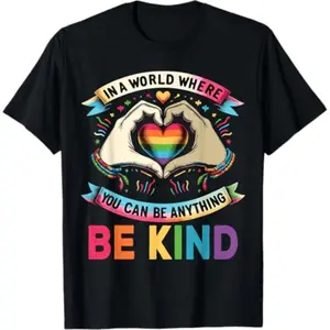 100% Cotton In A World Where You Can Be Anything Be Kind Gay Pride LGBT T-Shirt