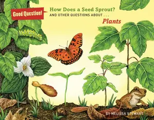 USED-How Does a Seed Sprout?: And Other Questions about Plants by Stewart, Melissa (Paperback)