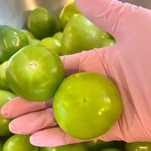 Nitrile Disposable Gloves, Medium/Large 100 Pcs Powder-Free Latex-Free Medical, Food Grade, Cleaning Esthetician Glove, Pink- Cooking and Baking Accessories