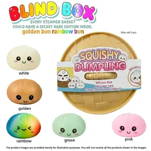 Expressive Big Dumpling Squishy - Blind Box, Bun Fidget Toy, Soft TPR Material, Stress Relief, Unboxing Surprise, Random Style per Pack.Valentine's Day and Easter gifts, suitable for adult to exchange gifts