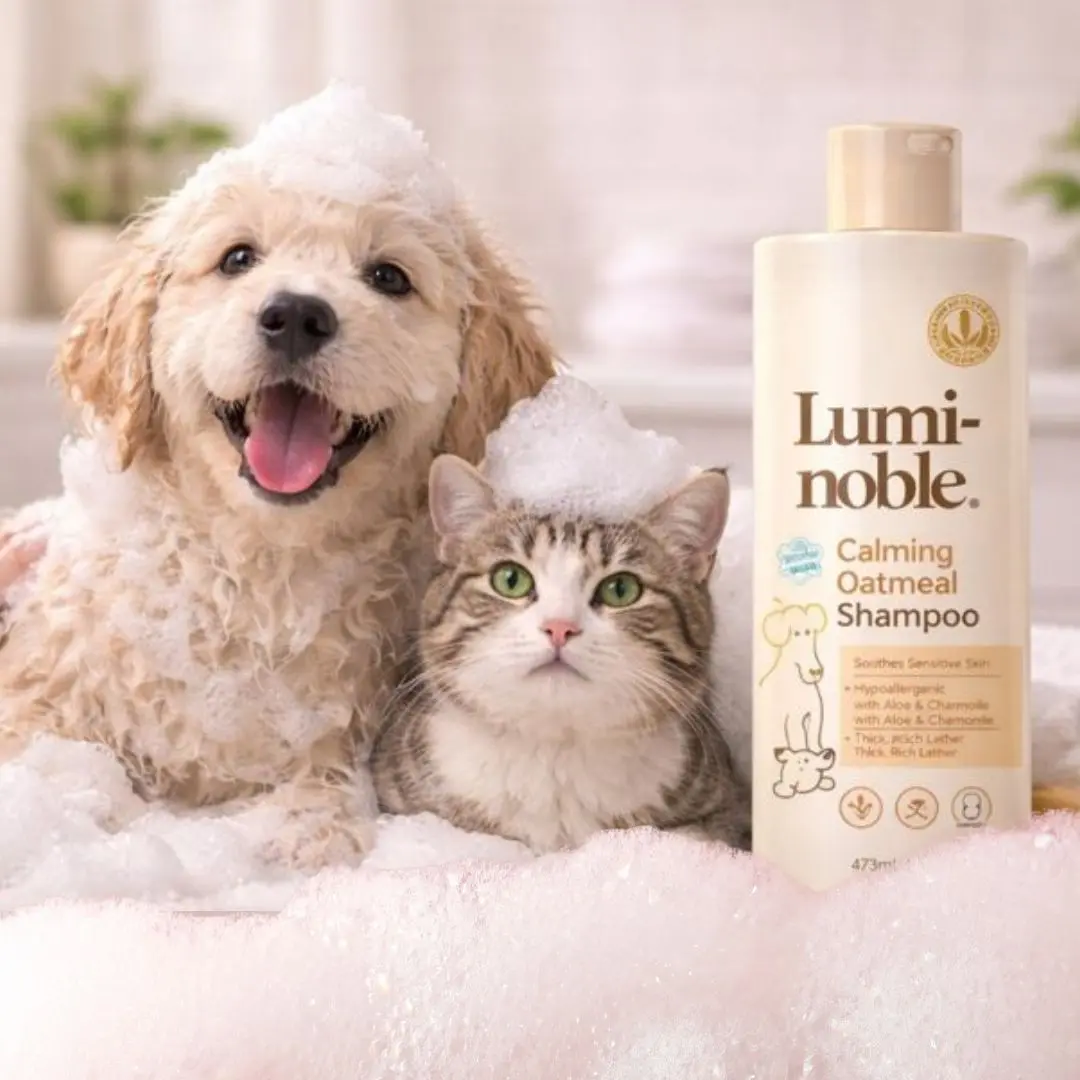 Oatmeal & Probiotic Calming Shampoo for Sensitive Dogs & Cats