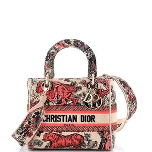 Pre-owned Dior Raffia Top Handle Bags Christian Lady D Lite Bag Embroidered Medium by Rebag