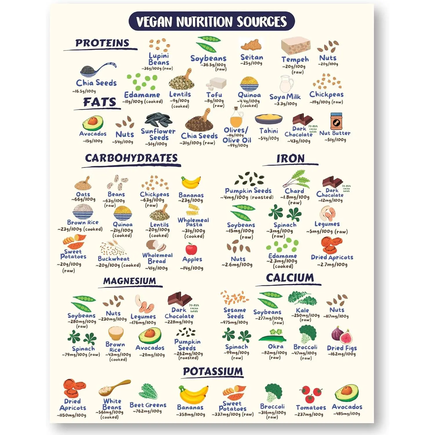 Vegan Health Foods Chart Fridge Magnet | Nutritional Guide for Keto High Protein Vegan & Vegetarian Diets | Decorative Food Magnet Cheat Sheet | Durable & Waterproof | 8.5" x 11" Size Kitchen Colorful Gift