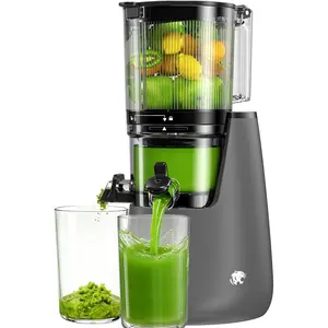 Cold Press Juicer, 6"  Feed Chute Slow Masticating Juicer Machines,  AC Brushless , Self Precut System, Juicer Machines with , Extra  Replace juicer strainer