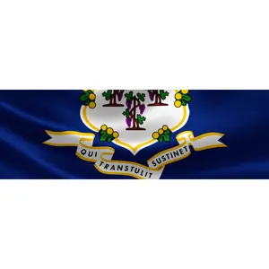 Connecticut Brady List