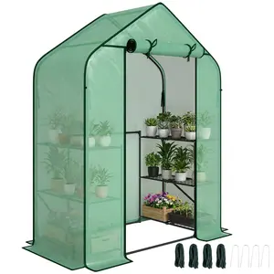 Greenhouse for Outdoors Fast Setup Foldable Frame Saves Off Season Storage Space Use On Patio Balcony Or Backyard Protects Plants From Light Wind And Maintains Warmth Green