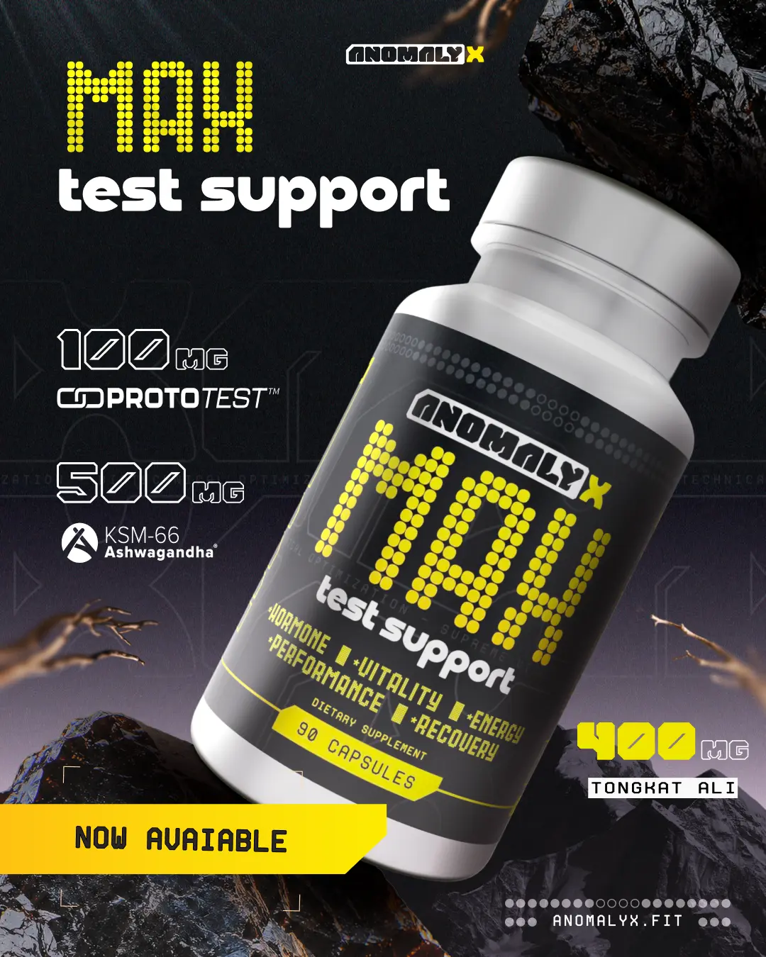 Men's Max Support Performance Supplement