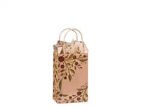 Tuscan Harvest Recycled Kraft Paper Bags, Rose 5.5x3.25x8.5"