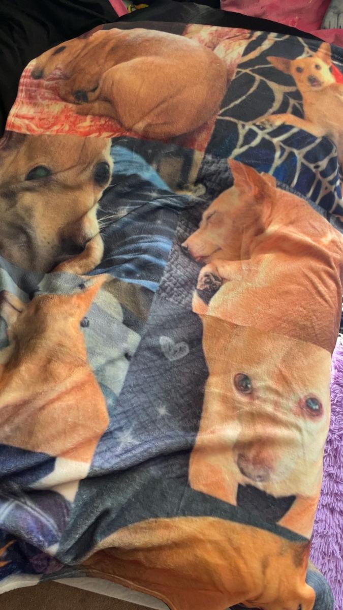 Item: 40 X 50 Inches