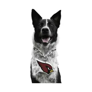 Littlearth NFL Pet Fan Chain