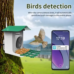 30mp Wireless Ai Bird Identification Camera, Identifies over 10000 Species, Solar Panel Feeder, Waterproof Full Color Night Vision, Smart Bird Feeder
