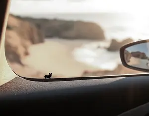 Corgi decal corgi dog, dog lover, corgi puppy, corgi life, corgis, easter egg decal, for cars, trucks, water bottles, laptops, durable, high quality adhesive vinyl