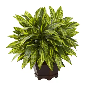 Tradescantia with Wooden Hexagon Planter