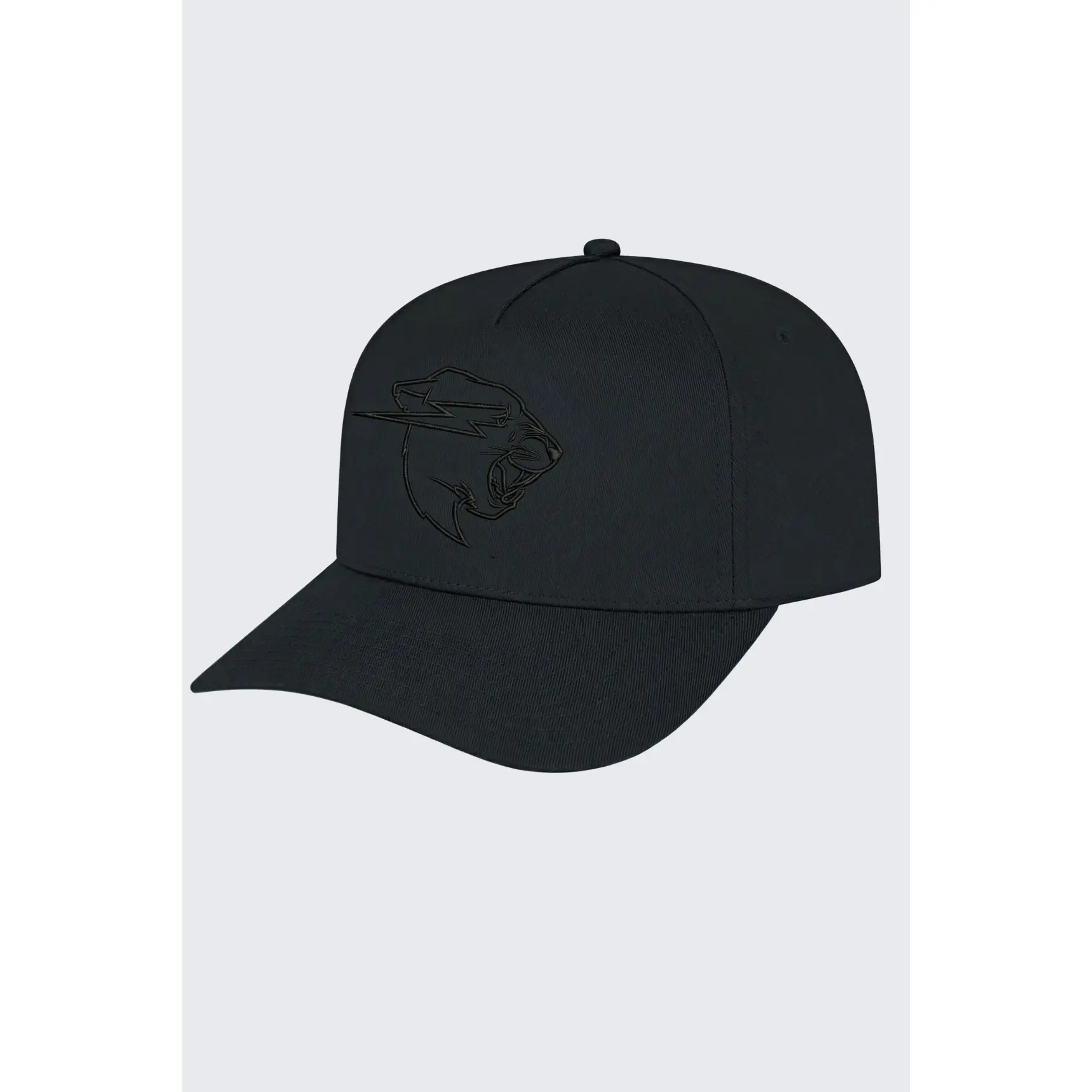 Stealth Panther Hat Stealth Panther Hat