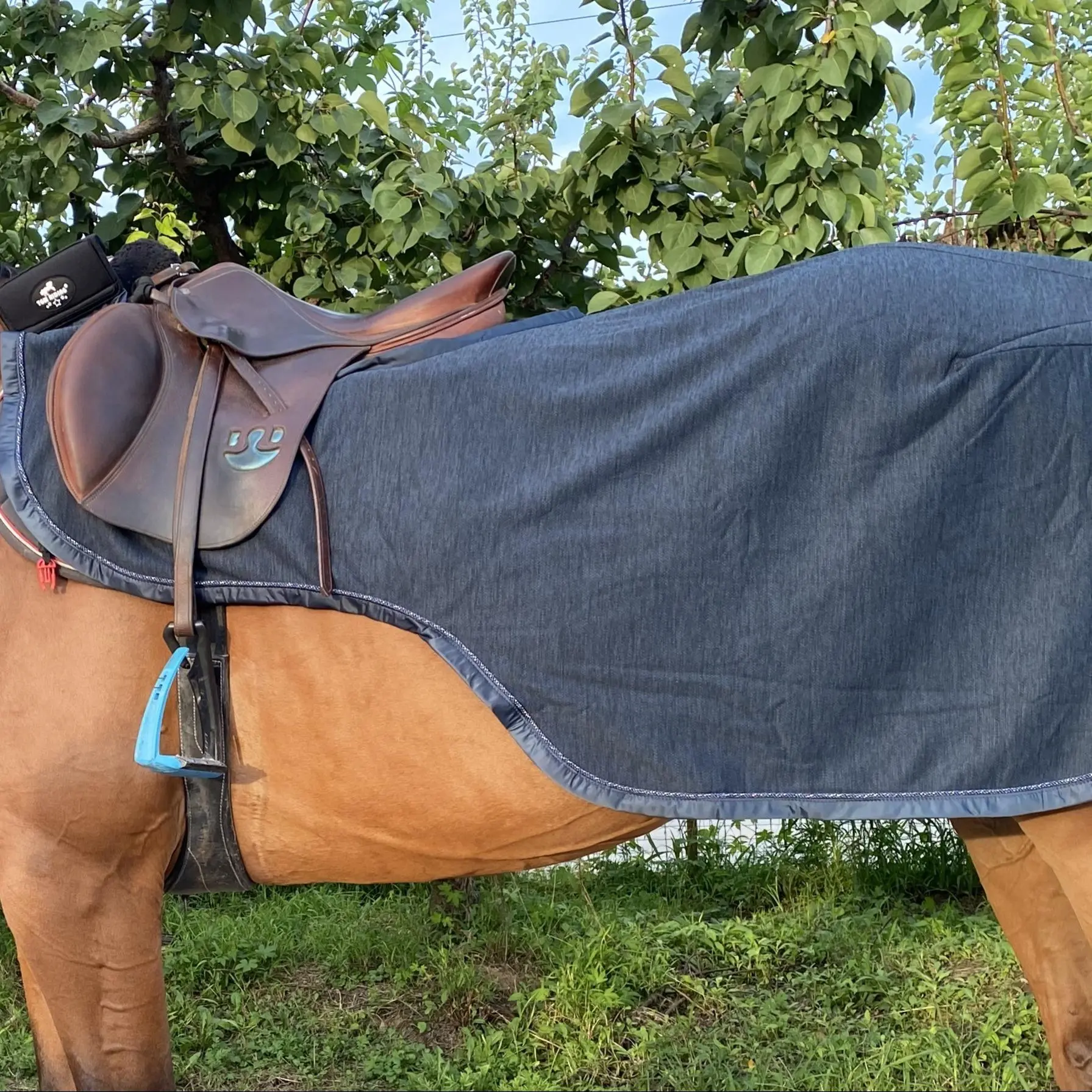 Large Size Horse Quarter Sheet, Elastic Softshell Outer Fabric Horse Exercise Sheet with Fleece Lining, Horse Riding Accessories