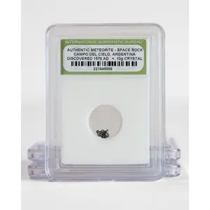 Campo de Cielo Meteorites in Protective Case