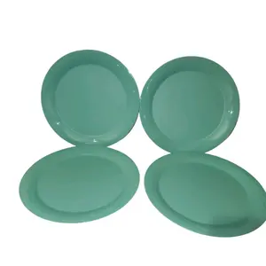 Floresta Mint Dinner Plates  Color 11 In - Set of 4 Diameter 11 Inches, Dishwasher Safe, BPA Free, Lightly Textured Base