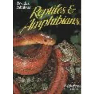 USED-Florida's Fabulous Reptiles and Amphibians: Snakes, Lizards, Alligators, Frogs, and Turtles by Williams, Winston (Paperback)