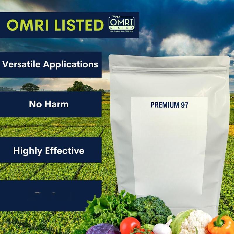 Supply Solutions Gypsum Powder - Purest & Soluble Houseplant Food Fertilizer for Indoor Plants, Outdoor, Lawn, Vegetables - 25 Pounds, Enhances Growth & Soil Health