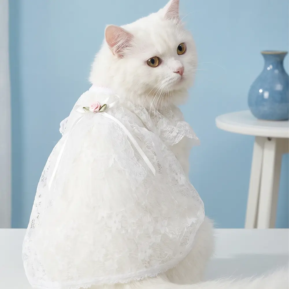 [Pangxigua] French Country-Style Vintage Hollow Floral Lace Pet Dress - Ruffle Neckline, Mini Rose Decor, Breathable and Lightweight, Suitable for Dogs & Cats, All Seasons, Events & Celebrations, Everyday Wear, French Country-Style Design, Loose Lantern P