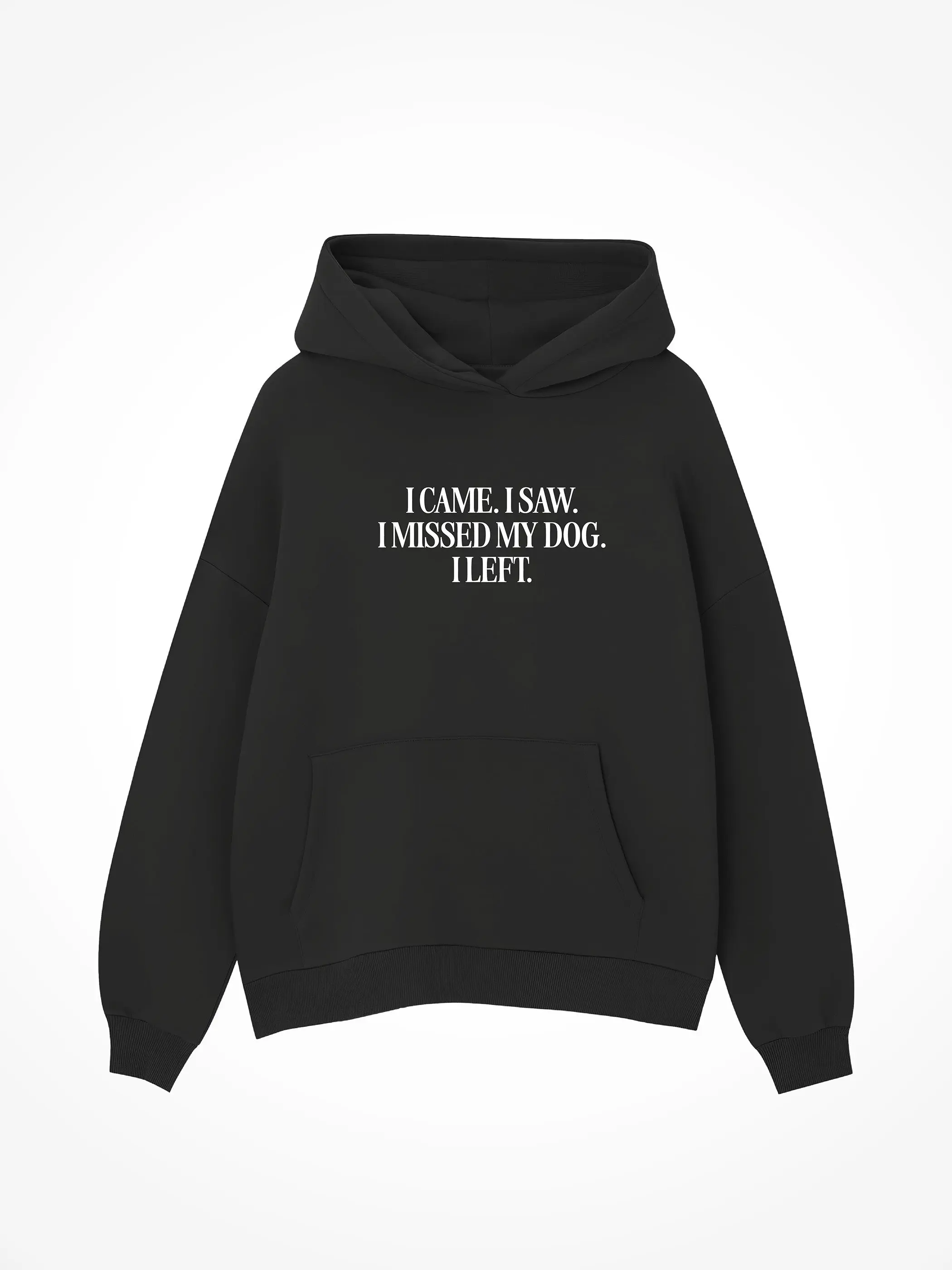 I Came I Saw I Missed My Dog - Hoodie