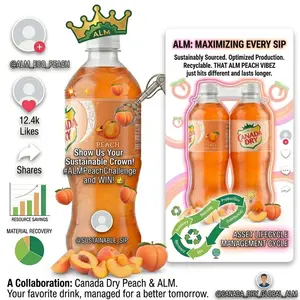 Canada Dry Peach Soda 20oz Bottles (2-Pack) - Refreshing Peach Ginger Ale by ALM