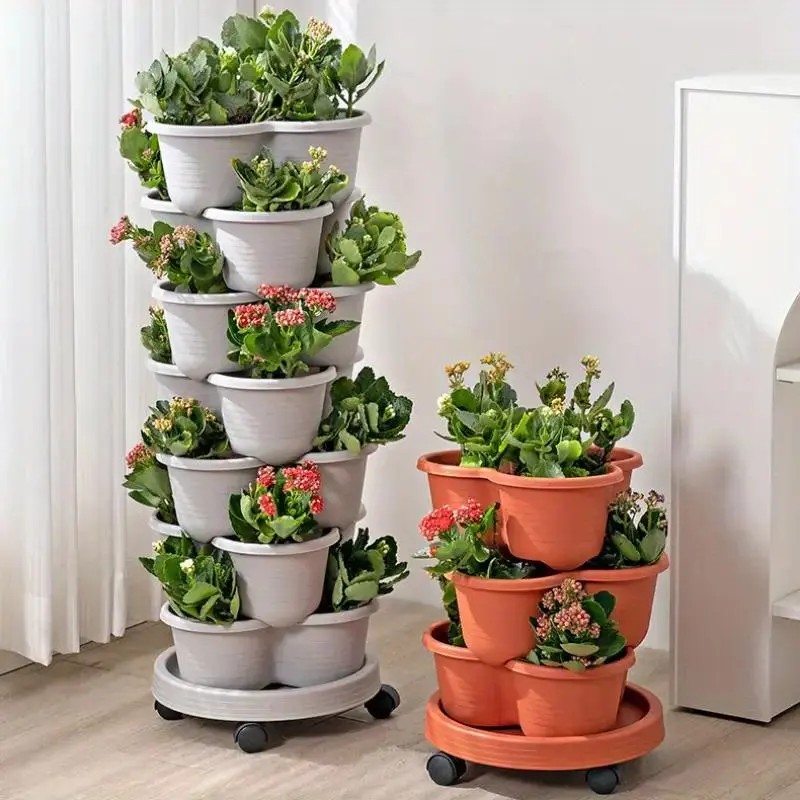 thyme potted plant Lemon Thyme (2 Pack)  Bonnie Plants