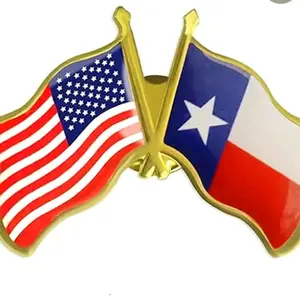 TEXAS USA LAPEL PIN