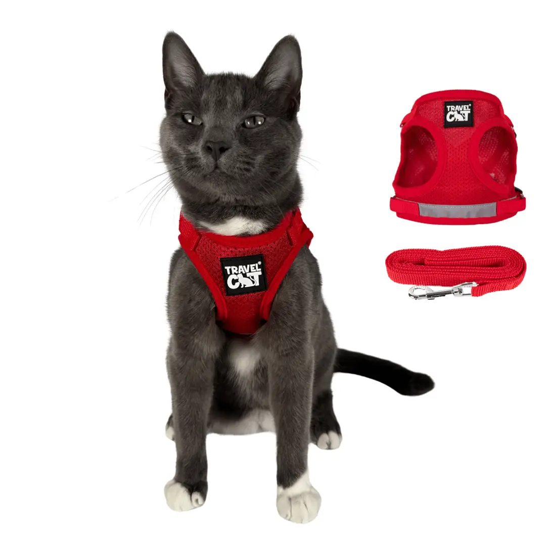 "The True Adventurer" Reflective Cat & Kitten Harness and Leash "The True Adventurer" Reflective Cat & Kitten Harness and Leash