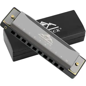 Blues Harmonica Mouth Organ 10 Hole G Key with Case, Diatonic Harmonica for Professional Player, Beginner, Students gifts, Adult, Friends,  Black