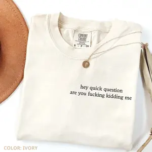 Comfort Colors Hey Quick Question Are You Kidding Me Shirt, Soft Cotton Unisex Gift, Gift for Him or Her, Unisex Stylish Top Gift For Women