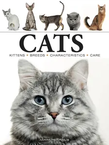 USED-Cats: A Celebration of Our Feline Friends by Photopoulos, Julianna (Paperback)