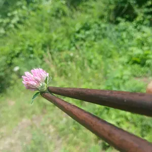 Hand-Carved Black Walnut Chopsticks