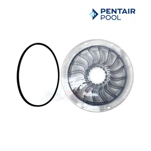 590104Z | Pentair ColorVision Bubbler Light Lens & O-Ring