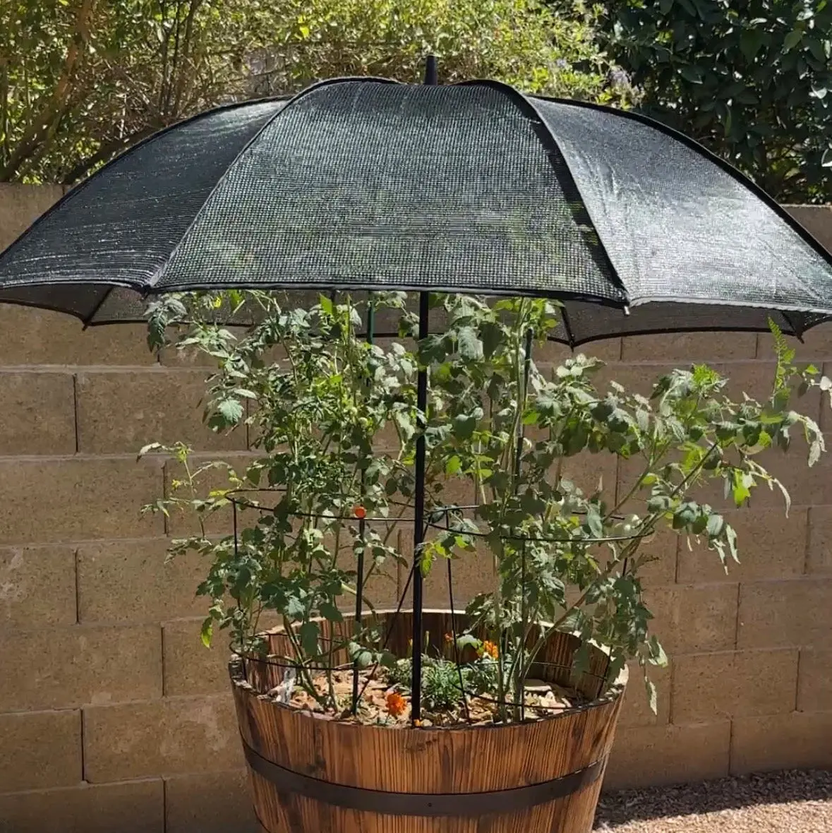 Pop-A-Shade