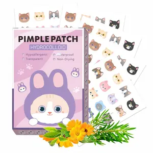 Cute Cat Pattern Pimple Patch, 1 Box Hydrocolloid Acne Cover Patches, Facial Skin Care Accessories for Women & Men