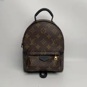 Pre-owned Louis Vuitton canvas Backpacks LV Palm Springs Mini new version【BF 12U】