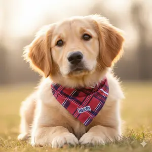 Welch's Holiday Pet Bandana