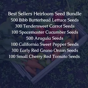 Best Seller's Heirloom Seed Bundle - 500 Bibb Butterhead Lettuce, 300 Tendersweet Carrot, 100 Spacemaster Cucumber, 500 Arugula, 100 California Sweet Pepper, 300 Early Red Grano Onion, 100 Small Cherry Red Tomato Seeds