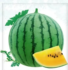 20 Watermelon Yellow Seeds - Sweet Tropical Melon Exotic Garden Fruit