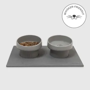 Elevated Cat Feeding Station