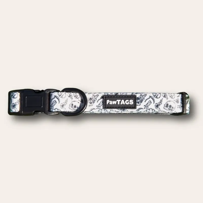 Skulls Dog Collar Fully Adjustable, Lightweight and Waterproof